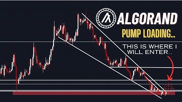 Algorand Price Analysis - Pump Loading... Here
