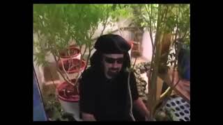 Ultimate Outdoor Grow Series Part 4