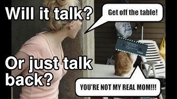 Will the SP0256 kit talk... or talk back?