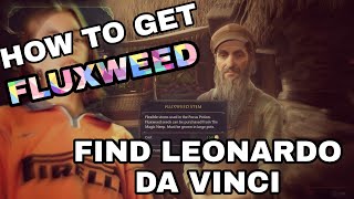 HOW TO GET FLUXWEED ITEM IN HOGWARTS LEGACY