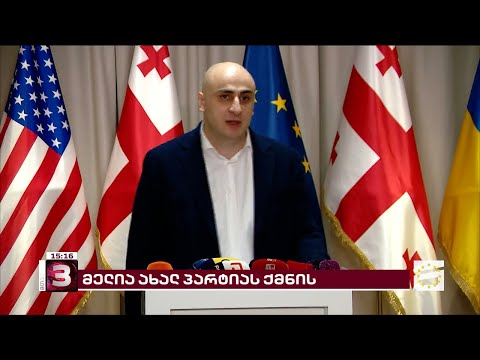 ვინ შეუერთდება ნიკა მელიას ახალ პარტიაში | რას ამბობენ ენმ-დან წასულები