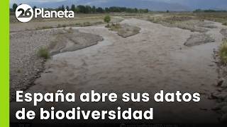 🌿 PROYECTO CON-DATA | España abre sus datos de biodiversidad al mundo | #26Planeta