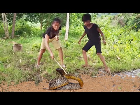 Awesome Water Snake Soup For Jungle Lunch Plus More Cooking Videos