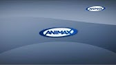 Animax Logo History Youtube