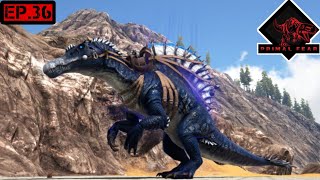 Ark :survival evolved 🔥 Celestial Spino Taming 🔥 Primal Fear EP.36