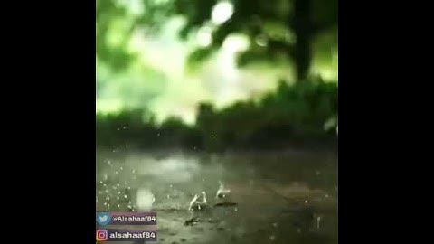 آيات عظيمة من كلام الرحمن تشعر المؤمن بالتفاؤل والأمل المتجدد في الحياة 💖 القارئ/ محمد الصحاف