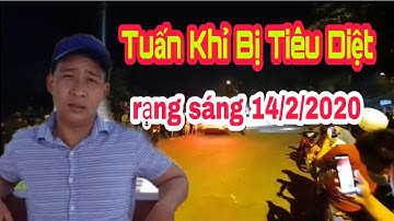 Tuấn Khỉ Bị Tiêu Diệt Rạng Sáng 14/2 tại Củ Chi.