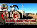 Arbeit auf der tannenbaumplantage  der xerion gibt alles  lohn vlog 15