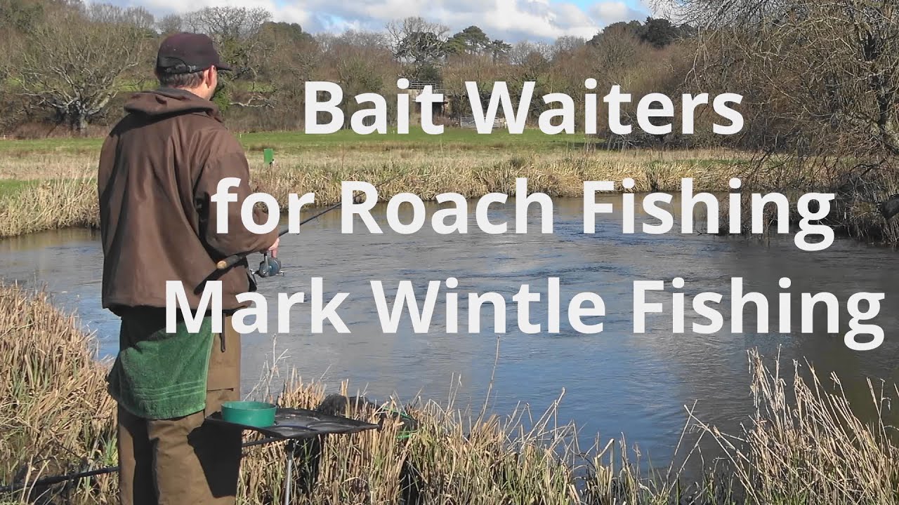 Bait Waiters for Roach Fishing 