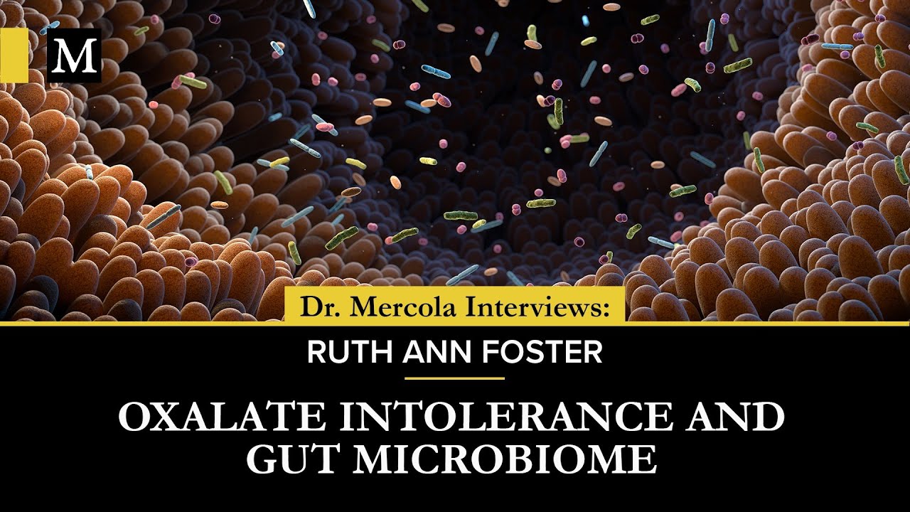 Oxalate Intolerance and Gut Microbiome —  Interview With Ruth Ann Foster, ScD, BSN, RN