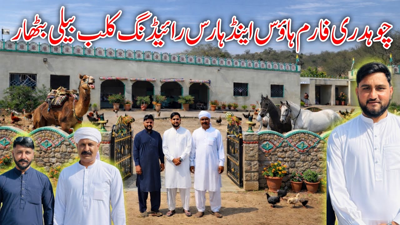 Ch farm hosuse and horse riding club