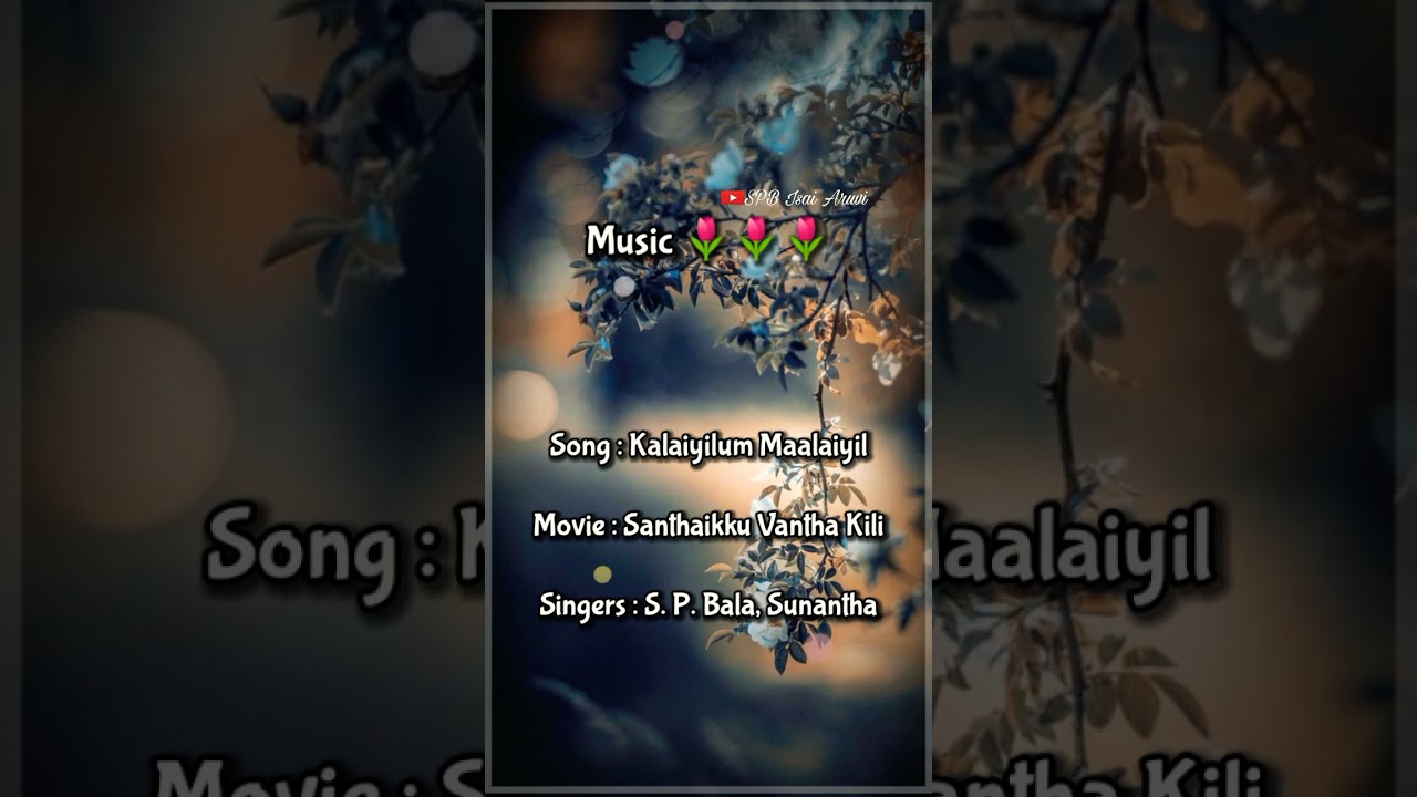Kalaiyilum Malaiyilum Ithu | Santhaikku Vantha Kili | SPB Full Lyrical