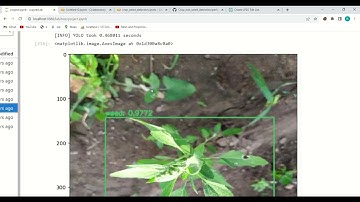 smart weed detection using deep learning