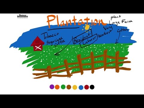 Video: Was ist Plantation erklären?