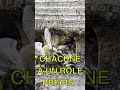 A L'ENTRÉE DE LA RUCHE