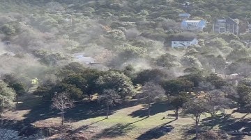Cedar pollen explosion; Monday