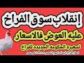 اسعار الفراخ البيضاء اليوم سعر الفراخ البيضاء اليوم الخميس ٨ ١ ٢٠٢٦ في مصر جمله وقطاعي 