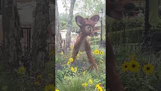 Epcot - Flower And Garden Festival.