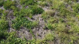 Drone Footage of Pumpkin Patch inspection Princeton KS DJI 0018