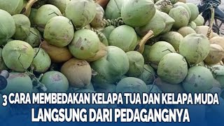 3 Cara Membedakan Kelapa Tua dan Kelapa Muda Langsung dari Pedagangnya