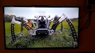 Celebrity Matt Denton - Daily Planet - Full size Hexapod Profile