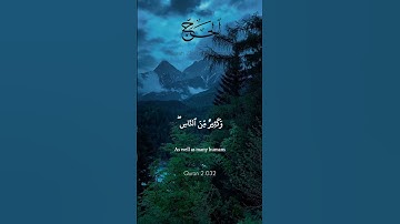 تلاوة مباركة بصوت جميل #القران_الكريم #تلاوتقران #اكسبلور #ياسر_الدوسري