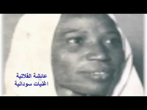 عائشة الفلاتية عني مالم صدو اتوارو علي محمود التنقاري شهدزاهى