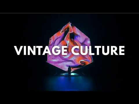 Vintage Culture & Volkoder - Rave
