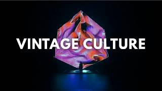 Vintage Culture & Volkoder - Rave