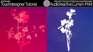 AUDIOREACTIVE LUMENPRINT  TOUCHDESIGNER TUTORIAL