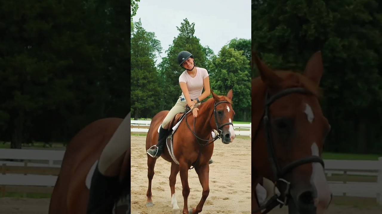 Save Palatine Stables - Forever Young