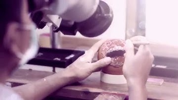 Frank & co. Signature