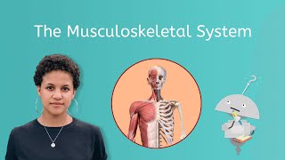 The Musculoskeletal System - Life Science for Kids!
