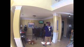 Ravens Time Lapse