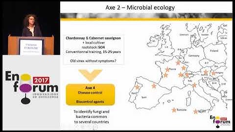 Sustainable control of grapevine trunk diseases