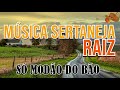 Sertanejo Raiz :: Só Modão do Bão :: Para recordar