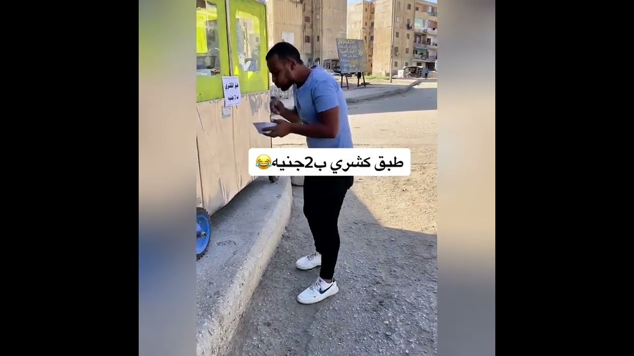 This animal has zero brain cells and I love it