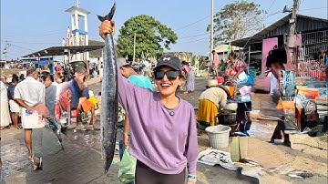 കടലിൽ പോയി മീൻ പിടിക്കാം 🐟