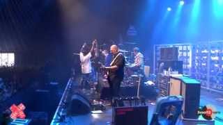 Video thumbnail of "Triggerfinger - Sexy Beesten - Lowlands 2012"