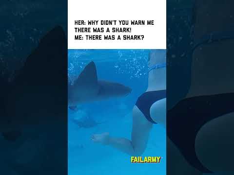 Cameraman was a bit distracted #shark #sharkweek #sharkattack #travel #fail 1 Cameraman was a bit distracted #shark #sharkweek #sharkattack #travel #fail