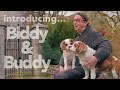 24 Days Of Father Ray #1 Introducing Biddy &amp; Buddy