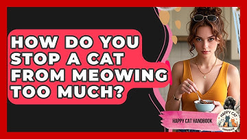 How Do You Stop A Cat From Meowing Too Much? - Happy Cat Handbook