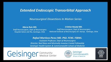 Extended Endoscopic Transorbital Approach (EETOA) - Neurosurgical Dissections in Motion