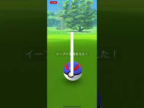 ７７７　野生のイーブイ出現‼️  ゲットできました‼️  ポケモンGO