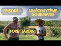 Jardin fort de la ferme du martel   episode 1