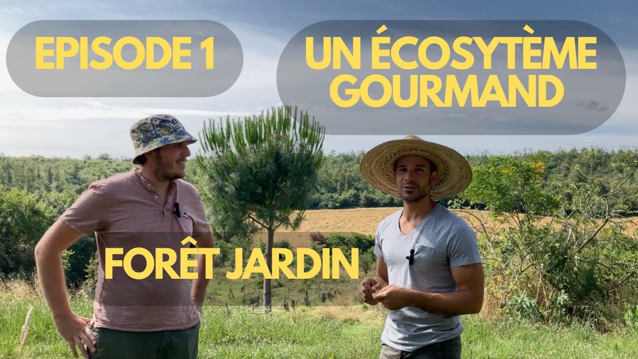 Jardin forêt de la ferme du Martel -  Episode 1