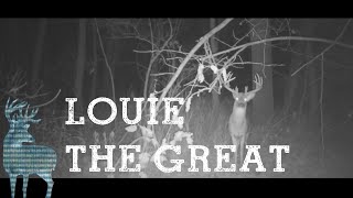 Louie the Great by Ken Beachy &amp; Riley Sieren