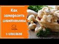 Как правильно заморозить грибы - 5 способов замораживать шампиньоны в домашних условиях