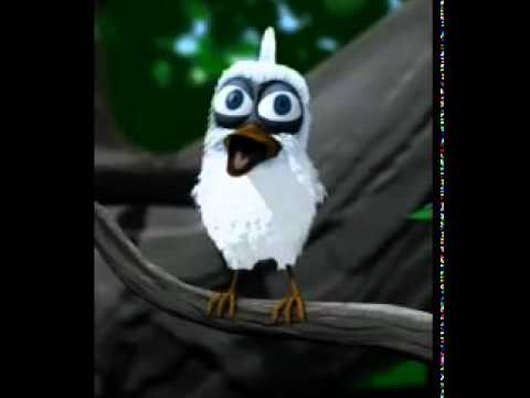 Vídeo: Pássaro Em Francês