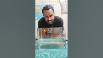 total internal reflection of light practical #boardexam #light #cbseclass10 #cbse12thboardexam2021